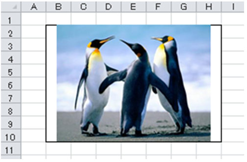 Cellpita エクセルにドラッグ ドロップでセル内に画像をピッタリ貼り付け